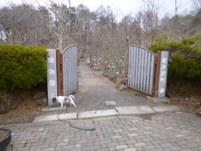 軽井沢植物園