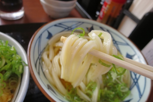 丸亀製麺㉞ (5)_R
