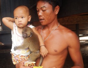Myanmar_monkey02.jpg