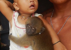 Myanmar_monkey03_2.jpg