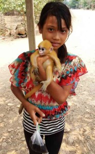 Myanmar_monkey05.jpg