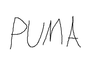Pumaの名前の由来は 生き物からだった それとも軽い印象にするため 小ネタ