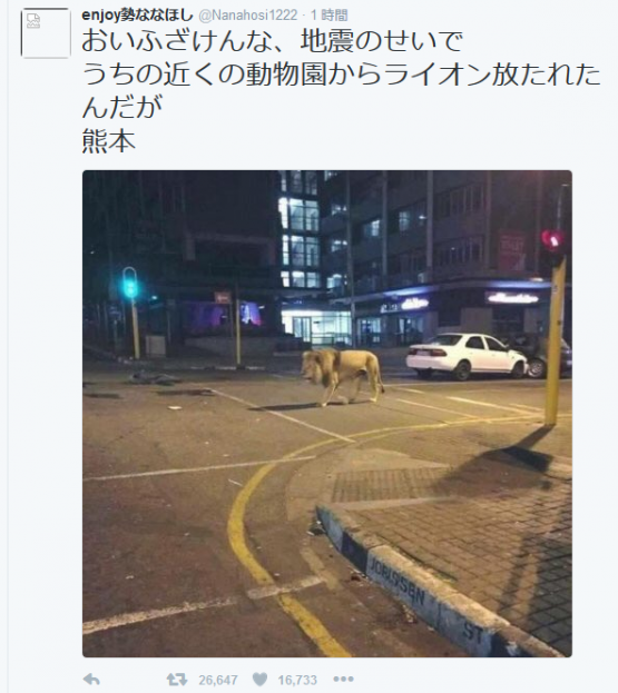 熊本地震の時、「動物園からライオンが逃亡した」とデマツイート流したやつが逮捕されるｗｗｗ