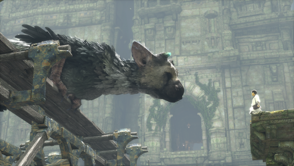 dam-trico-gallery-ss-09-150602.png