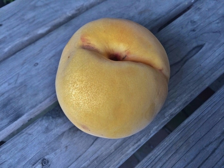黄色い桃