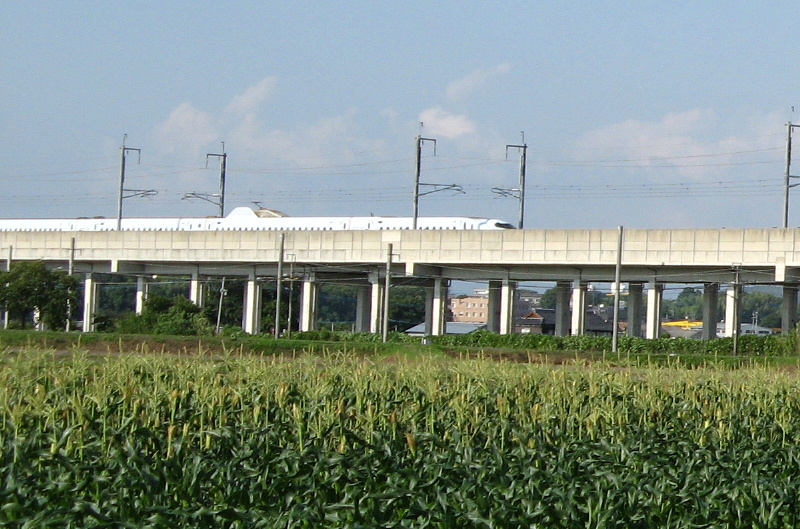 corn-shinkansen800x529.jpg