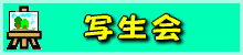 shaseikai-logo.gif