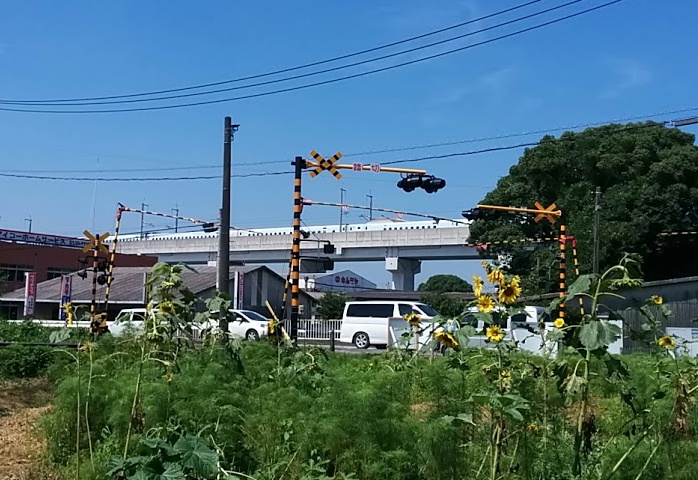 shinkansen-himawari.jpg