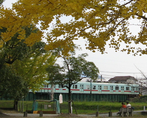 tamatare-train1.jpg