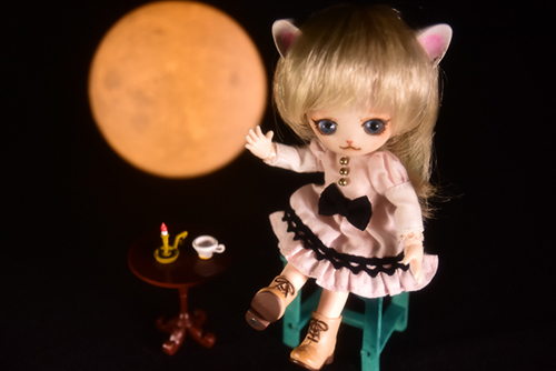 オビツ11ボディ、PARABOXヒカリちゃんヘッドをカスタムして作った猫っ子ポー。満月の夜に秘密のお茶会。