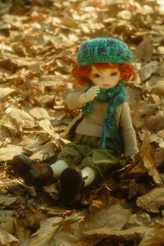 DOLLZONE・Ginoのテオに森ボーイなお洋服を着せて、落ち葉の敷き詰められた公園へ。