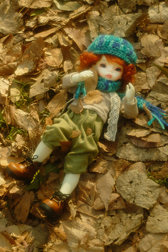 DOLLZONE・Ginoのテオに森ボーイなお洋服を着せて、落ち葉の敷き詰められた公園へ。