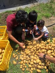 【写真】収穫したジャガイモを洗っている子供たちの様子