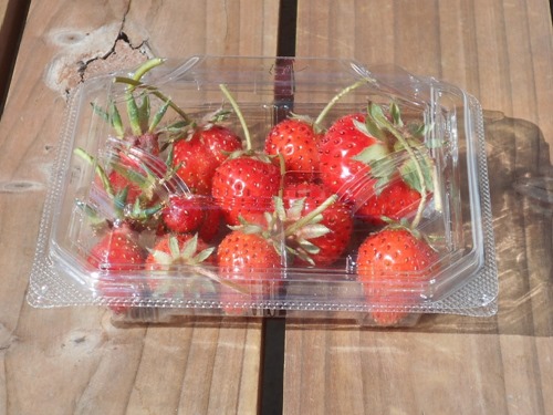 160513strawberries