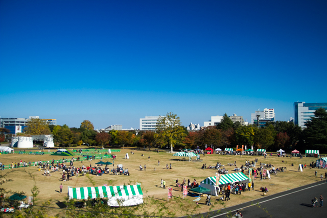 昭和記念公園 (14)