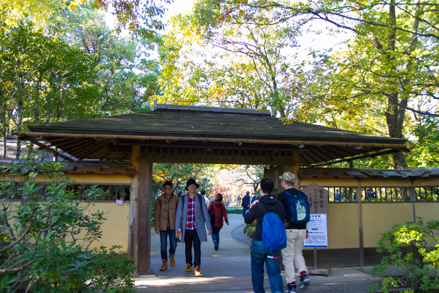 昭和記念公園 (31)